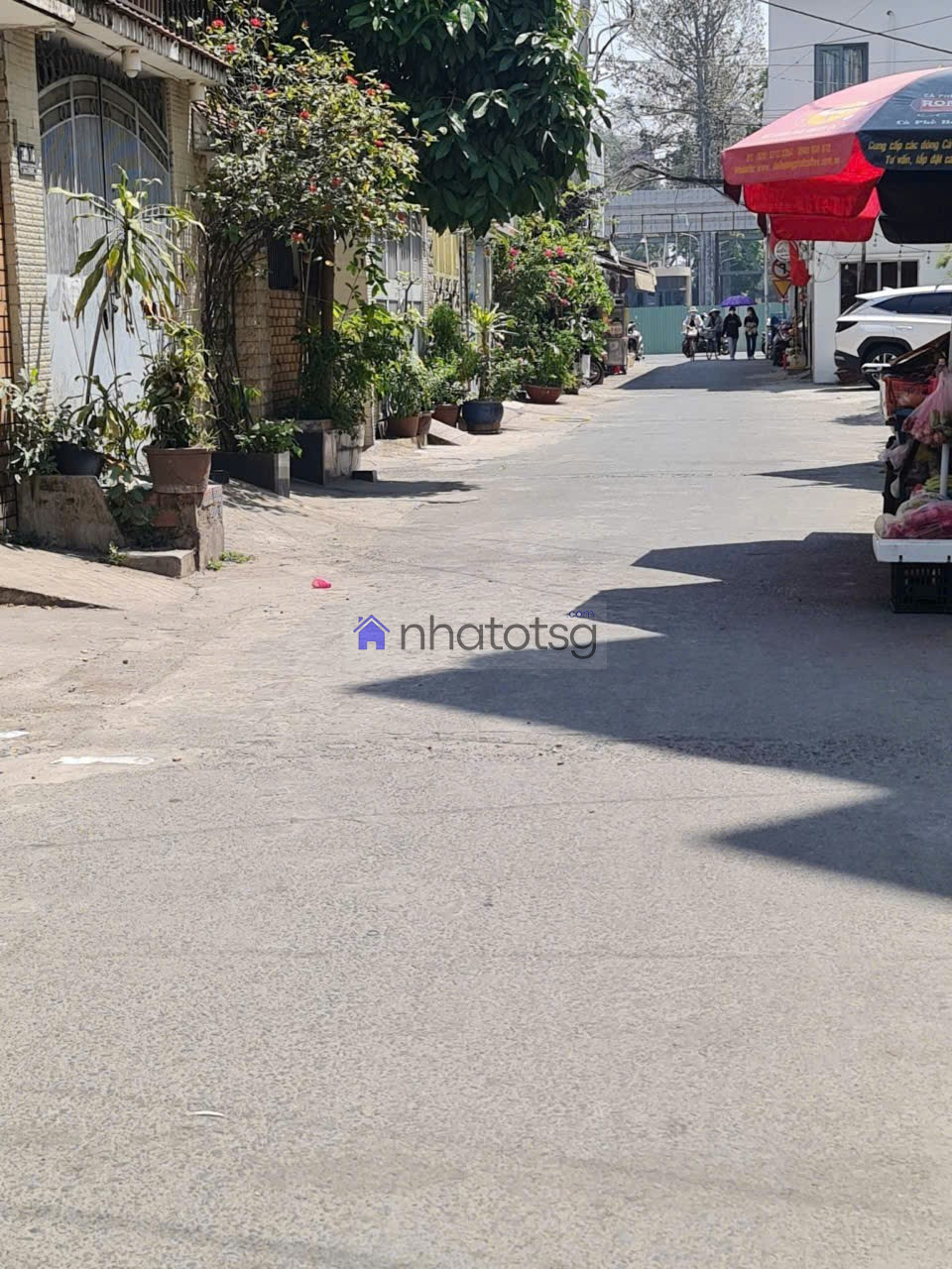 CHDV Quang Trung, thu 50tr/tháng. 11 Phòng