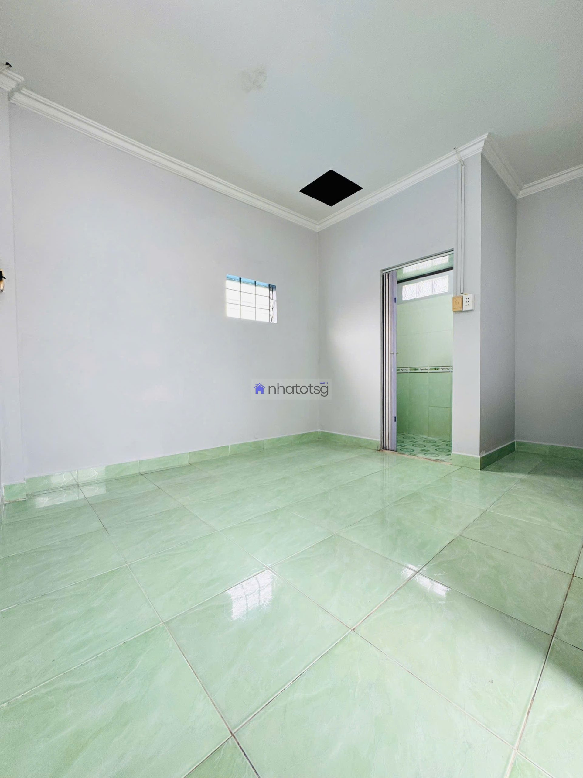 SIÊU HIẾM, Nhà Đường số 8, P11, GÒ VẤP.