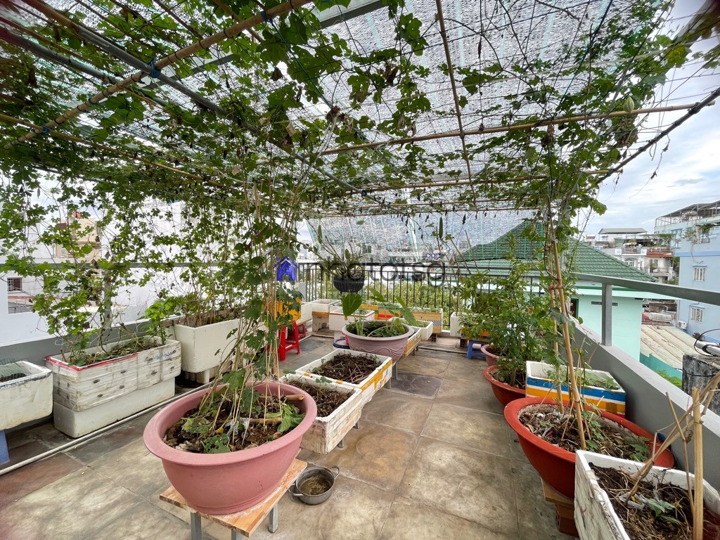 HẺM XE HƠI - 5P QUA SIÊU THỊ EMART NHỘN NHỊP - NỞ HẬU TÀI LỘC