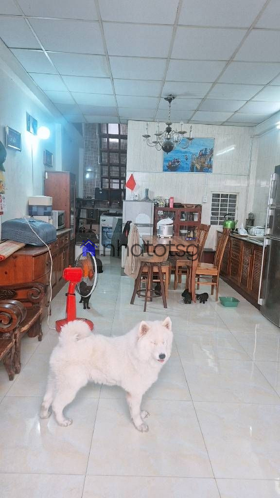 CHÍNH CHỦ 1 ĐỜI, NHÀ CŨ ƯU TIÊN XÂY MỚI, P. AN NHƠN.